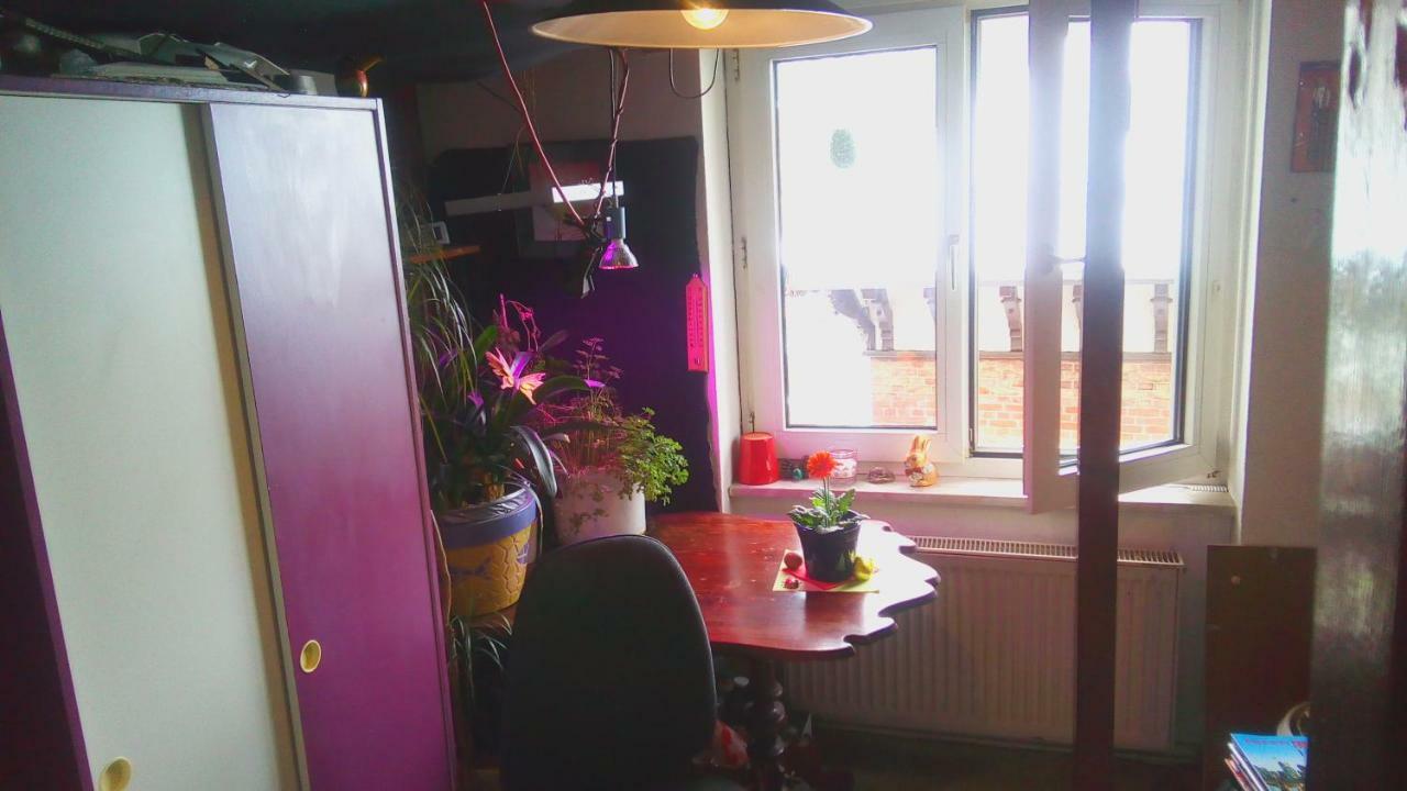 Citycentre Room For 1 Female Persons - Alternative Plus 1 Child Frankfurt nad Menem Zewnętrze zdjęcie